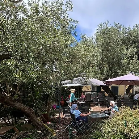 Il Cortile Del Contadino Apartment Volastra