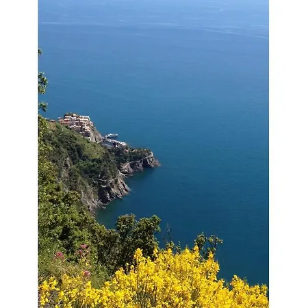 Il Cortile Del Contadino *